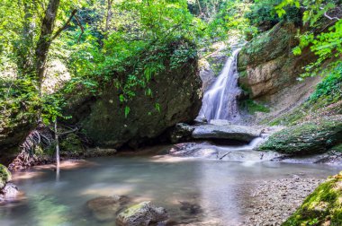 Karanlık Orman şelale