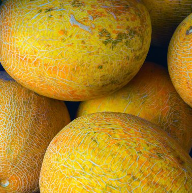 Satılık sarı kavunlar