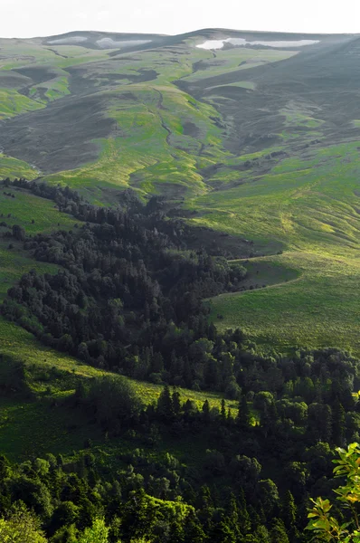 Berg heuvels in Adygeya — Stockfoto