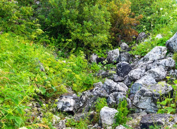 Grandes rocas de granito piedras en la hierba verde — Foto de Stock