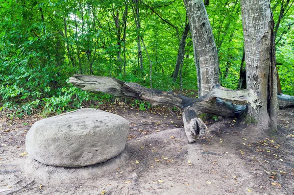 Gran piedra gris natural salvaje y tronco de árbol roto —  Fotos de Stock