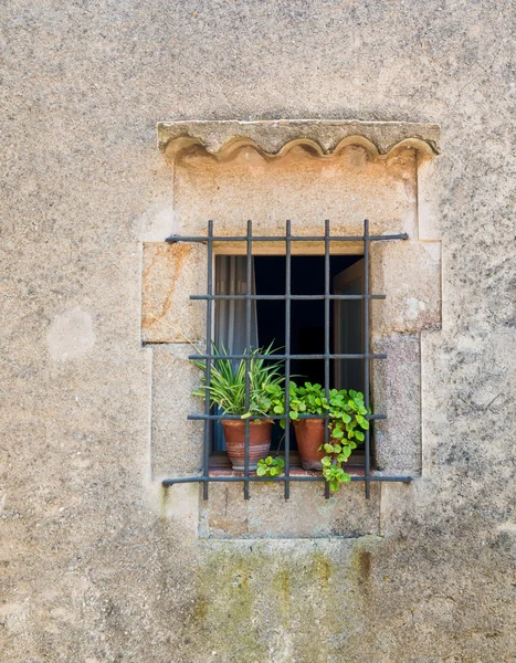 หน้าต่างที่มีหม้อดอกไม้ใน Tossa de Mar — ภาพถ่ายสต็อก
