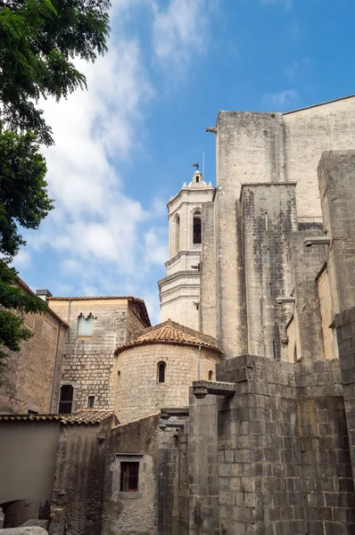 Catedral de Santa Maria em Girona, Catalunha, Espanha — Fotografia de Stock