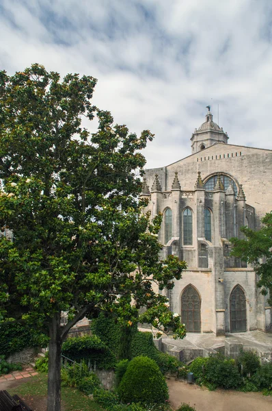 Catedral de Santa Maria em Girona, Catalunha, Espanha — Fotografia de Stock