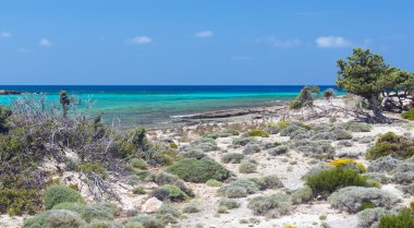 Azure ile kayalık vahşi plaj renk su temizlemek