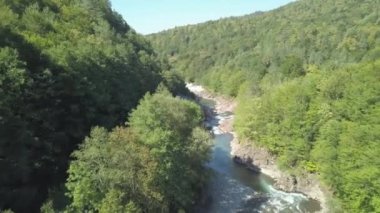 Dağ nehri üzerinde uçan insansız hava aracı ya da dere kıyıları boyunca taşlarla ve yemyeşil renkli bir ormanla