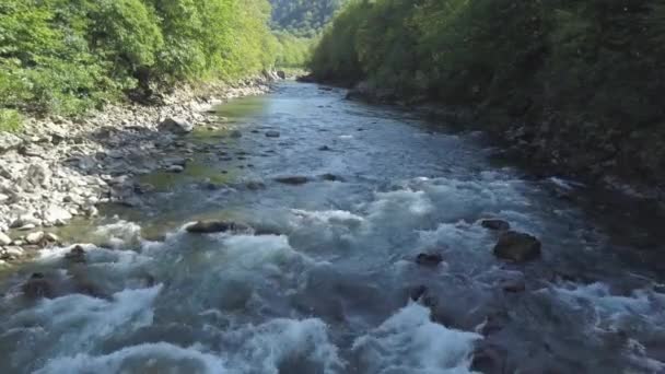 山の川を渡るドローンや 岸沿いの石や緑豊かな緑の森を流れるドローン — ストック動画