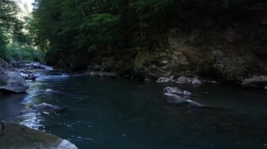 Dağ ormanlarında akan akıntılı harika tatlı nehir suyu.