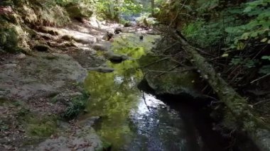 Dağ ormanlarında akan akıntılı harika tatlı nehir suyu.