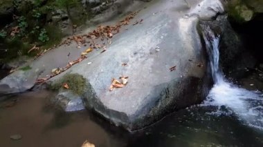 Dağ yosunlu deresi. Bahar mevsiminde eriyen karlar ve doğal pınarlardan yükselen güzel ve berrak bir dağ deresi. Sahne doğası.