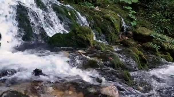 Wilde Natur Wasserfall Tiefen Wald Wasserfall Isichenko Buchswald Mezmay Dorf — Stockvideo