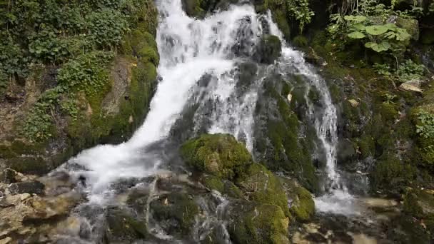 Wilde Natur Wasserfall Tiefen Wald Wasserfall Isichenko Buchswald Mezmay Dorf — Stockvideo