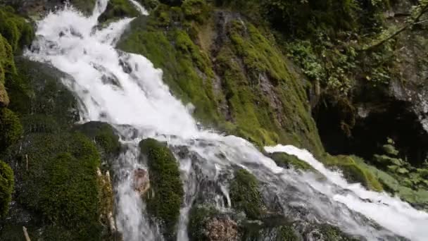 Wodospad Dzikiej Przyrody Głębokim Lesie Wodospad Isichenko Las Boxwood Wioska — Wideo stockowe