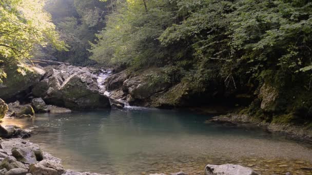 山の森を流れる急流と素晴らしい新鮮な川の水 — ストック動画