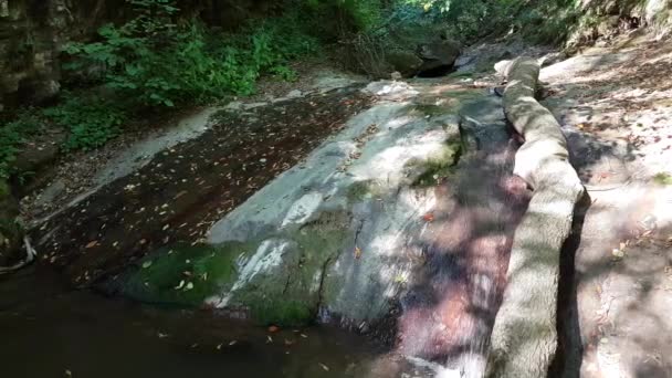 Ruscello di montagna torrente muschioso. Bella acqua limpida torrente di alta montagna da primavera neve sciogliersi e sorgenti naturali. Natura paesaggistica. — Video Stock