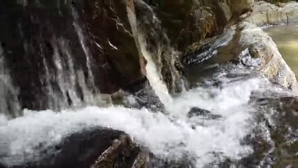 Rivière Wild Mountain Fermer Abondance Clear Stream. — Video