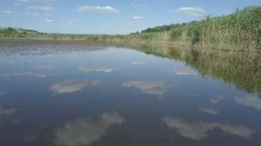 Sazlıklarla kaplı küçük bir göl ya da göl manzarası. Sakin göl yüzeyi