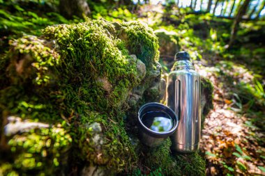 Sıcak çayla termos ve bardak. Ormandaki yosunlu kütükte piknik. Boş zaman konsepti.