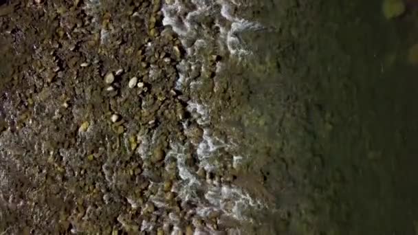 Swirling streamsand rapids of a mountain river with a rocky shore and forest, static view from a drone — Stock Video