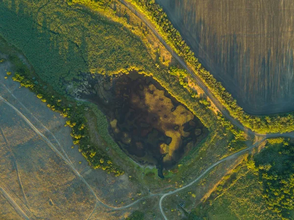 Çimlerle kaplanmış gölet, drone üst görünümü.