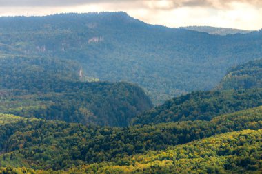 Dağ manzarası. Ormanla kaplı vadi ve dağlar.