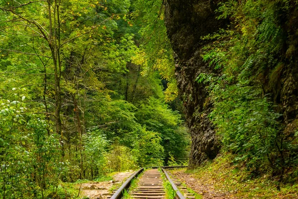 Oude Smalspoorbaan Een Canyon Guamka Pad Van Mezmay Naar Guamka — Stockfoto