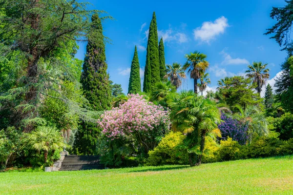 Parque Cidade Com Árvores Tropicais Gramado Com Grama Ciprestes — Fotografia de Stock