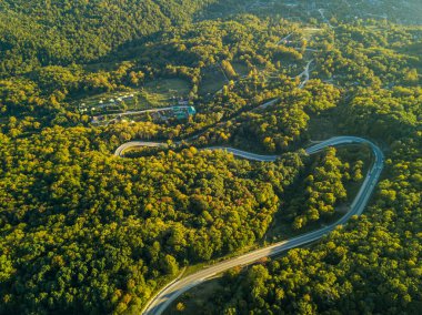 Orman arazisinden geçen dağ yolunun üzerinden geçen hava manzarası..