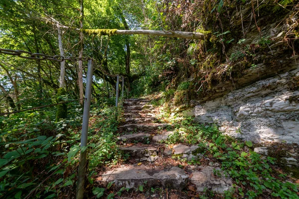 Escaleras Piedra Bosque Misterioso Sendero Para Senderismo —  Fotos de Stock