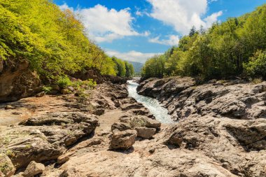 Ormandaki dağ nehri. Taşların üzerinde su.