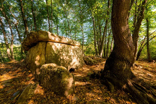 Dolmen Tumba Megalítico Antiguo Bosque —  Fotos de Stock
