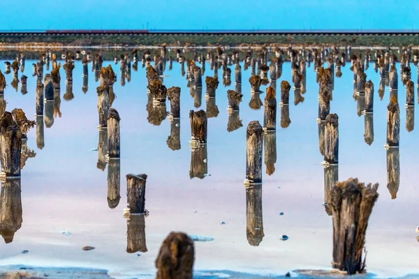 Salz Auf Holzstämmen Wasser Salzsee Salt Lake Baskunchak Russland — Stockfoto