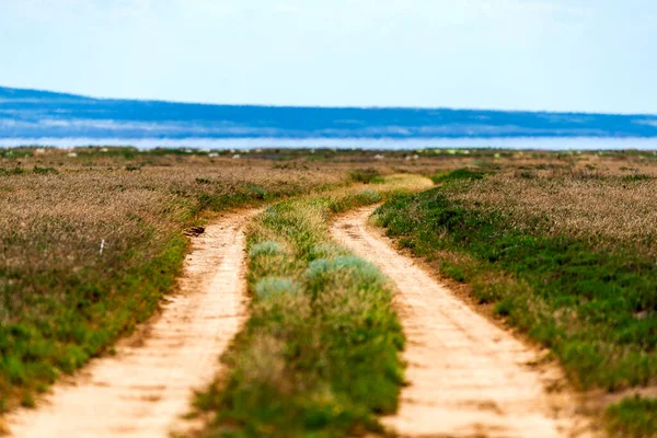 Ländliche Feldstraßenlandschaft Steppe Oder Wüste — Stockfoto