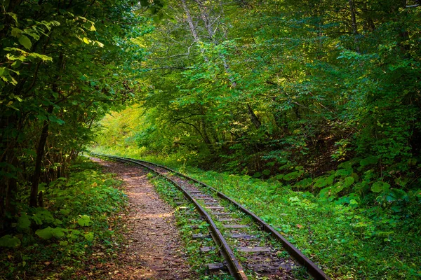 Estrada Ferro Abandonada Floresta Montanhosa Outono Com Árvores Foliares Cáucaso — Fotografia de Stock