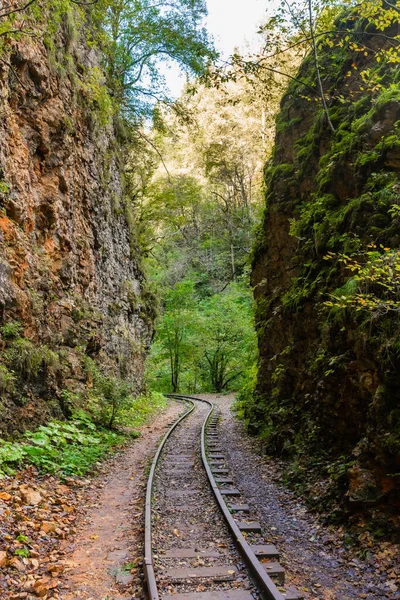 旧的窄轨铁路 一条从Mezmay通往Guamka的峡谷 俄罗斯 克拉斯诺达尔地区 — 图库照片