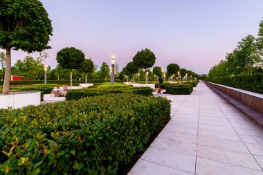 Fransız bahçesindeki akçaağaç sokağı şehir parkında Krasnodar ya da Galitsky parkında. Akçaağaç ağaçlarının etrafındaki ahşap, yuvarlak kahverengi banklar..