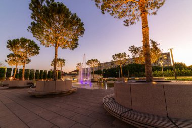 Fransız bahçesindeki akçaağaç sokağı şehir parkında Krasnodar ya da Galitsky parkında. Akçaağaç ağaçlarının etrafındaki ahşap, yuvarlak kahverengi banklar..