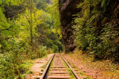 Eski dar ölçü demiryolu. Guamka Kanyonu, Mezmay 'dan Guamka' ya giden yol. Rusya, Krasnodar bölgesi.