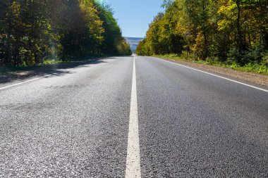 Kavram Yanı Başında Ağaçlarla Yaz Ülke Yolu.