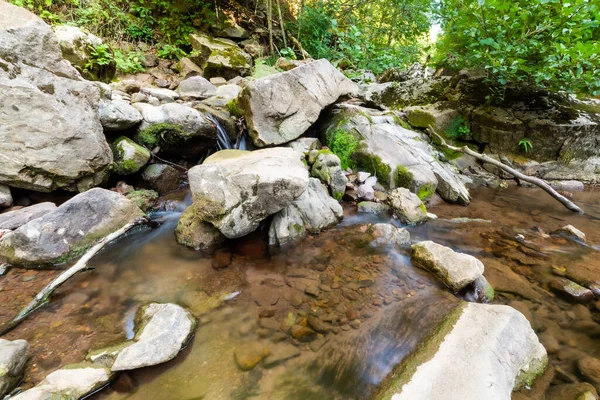 Gebirgsfluss Wald Wasser Auf Einen Stein — Stockfoto