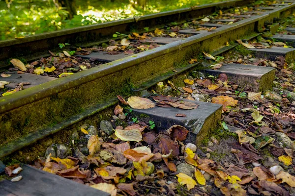 Låg Vinkel Syn Små Järnvägsspår Bergsområdet Med Grunt Skärpedjup — Stockfoto