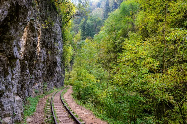 Stará Úzká Železnice Kaňon Guamka Cesta Mezmay Guamky Rusko Region — Stock fotografie