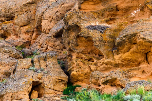 Ψαμμίτης Απόκρημνη Πλαγιά Αετούς Φωλιά — Φωτογραφία Αρχείου