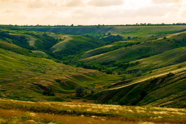 Letní Krajina Svazích Kopců Údolí Svahu Zelenou Pírkovou Trávou — Stock fotografie