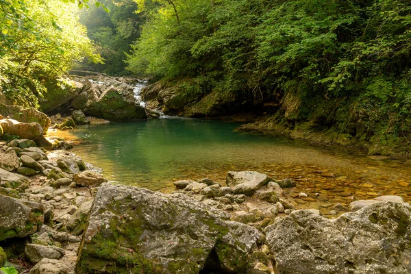 Górska Rzeka Lesie Woda Kamieniach — Zdjęcie stockowe