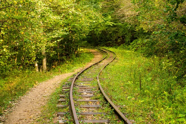 梅兹梅 高加索秋天山林荒废铁路 叶树丛生 — 图库照片