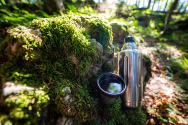 Sıcak çayla termos ve bardak. Ormandaki yosunlu kütükte piknik. Boş zaman konsepti.