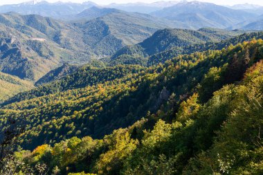 Ormanla kaplı dağların panoramik manzarası.