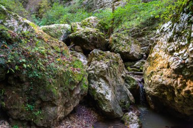 Rufabgo Şelalesi Rufabgo 'nun Kalbi, Kuzey Kafkasya, Rusya.
