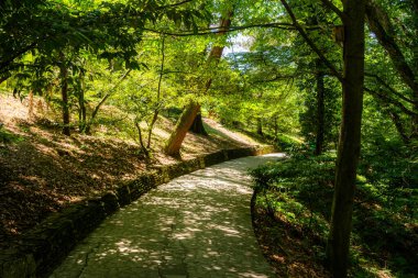 Güzel bir parkta çiçekler, yeşil bitkiler ve çimlerle çevrili kıvrımlı bir patika..